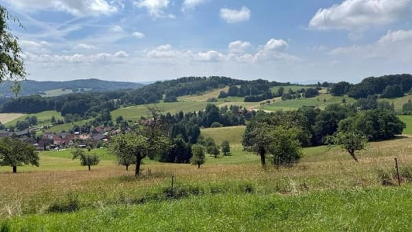 Immobilie in Sebnitz - Freistehendes Wochenendhaus in Alleinlage mit herrlicher Fernsicht - Bild 1