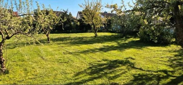 Immobilie in Roklum - Mit Grundstück, das Haus für alle Lebensphasen in Roklum. - Bild 0