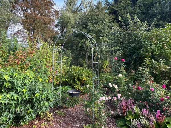 Immobilie in Sundhagen - Kleines Haus auf dem Land – umfangreich modernisiert, mit romantisch angelegtem Garten! - Bild 3