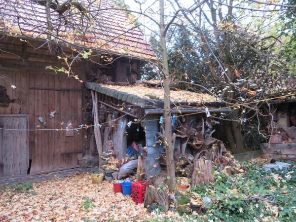 Immobilie in Treffurt - Ihr neues Familienglück: Attraktives Haus mit Garten und Nebengebäude in ruhiger Ortslage - Bild 2