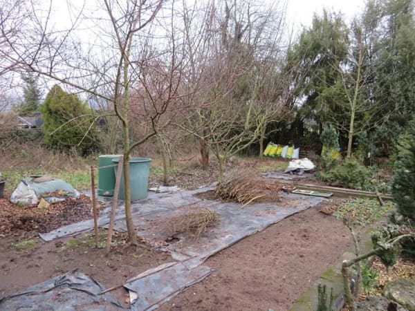 Immobilie in Treffurt - Ihr neues Familienglück: Attraktives Haus mit Garten und Nebengebäude in ruhiger Ortslage - Bild 3