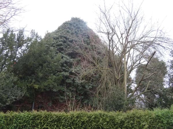 Immobilie in Treffurt - Ihr neues Familienglück: Attraktives Haus mit Garten und Nebengebäude in ruhiger Ortslage - Bild 4