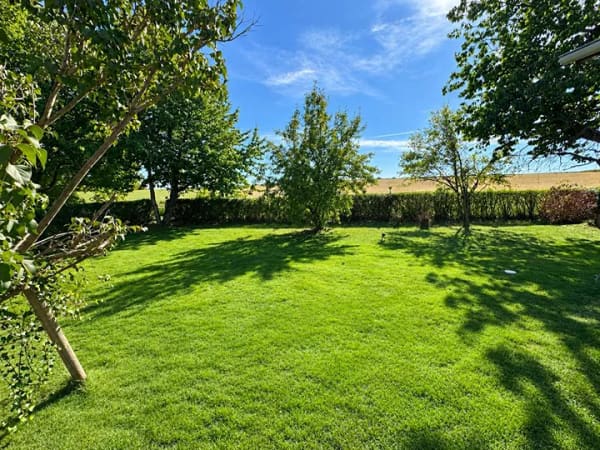 Immobilie in Vilsbiburg - Provisionsfrei ins Wohnglück: Großzügiger Bungalow mit traumhaftem Feldblick, Garten & Ausbaupotenzi - Bild 2