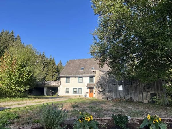 Immobilie in Lenzkirch - Landhaus mit 13000m² Grund in flacher und ruhiger Waldrandage ! - Bild 1