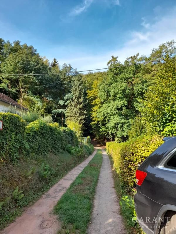 Immobilie in Bad Dürkheim - Raus aus dem Alltag - rein in die Natur - Bild 1