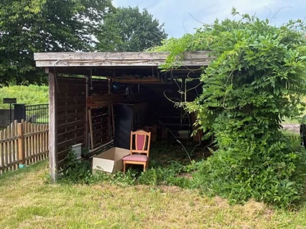 Immobilie in Granzin - Viel Platz für die Familie in diesem Reihenmittelhaus in Greven - Bild 3