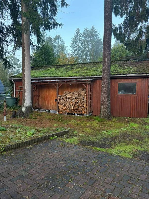 Immobilie in Bremervörde - Gemütliches Nurdachhaus in ruhiger Lage - Bild 4